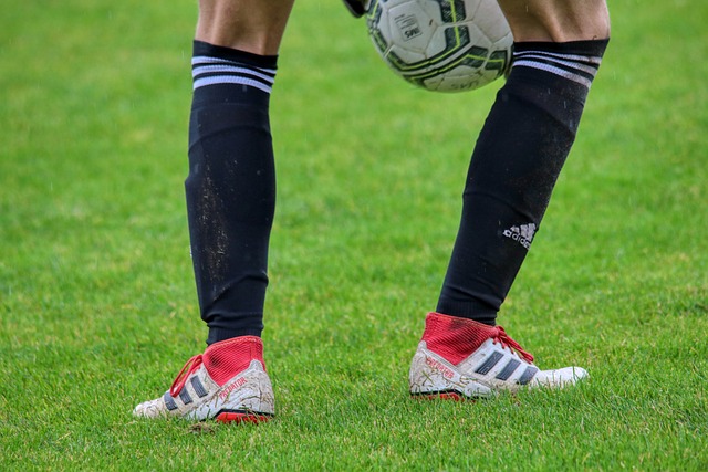 的毅力和无 的毅力和无