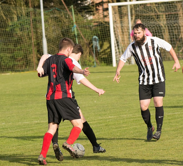 森纳的成功 森纳的成功