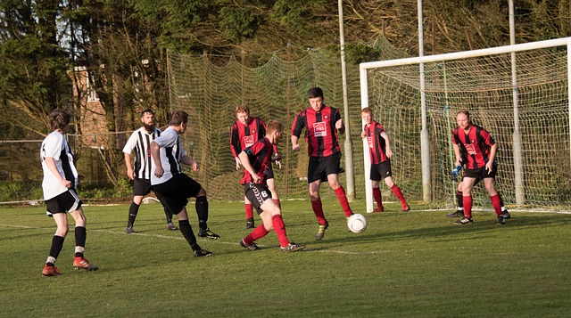 期状态正佳 期状态正佳