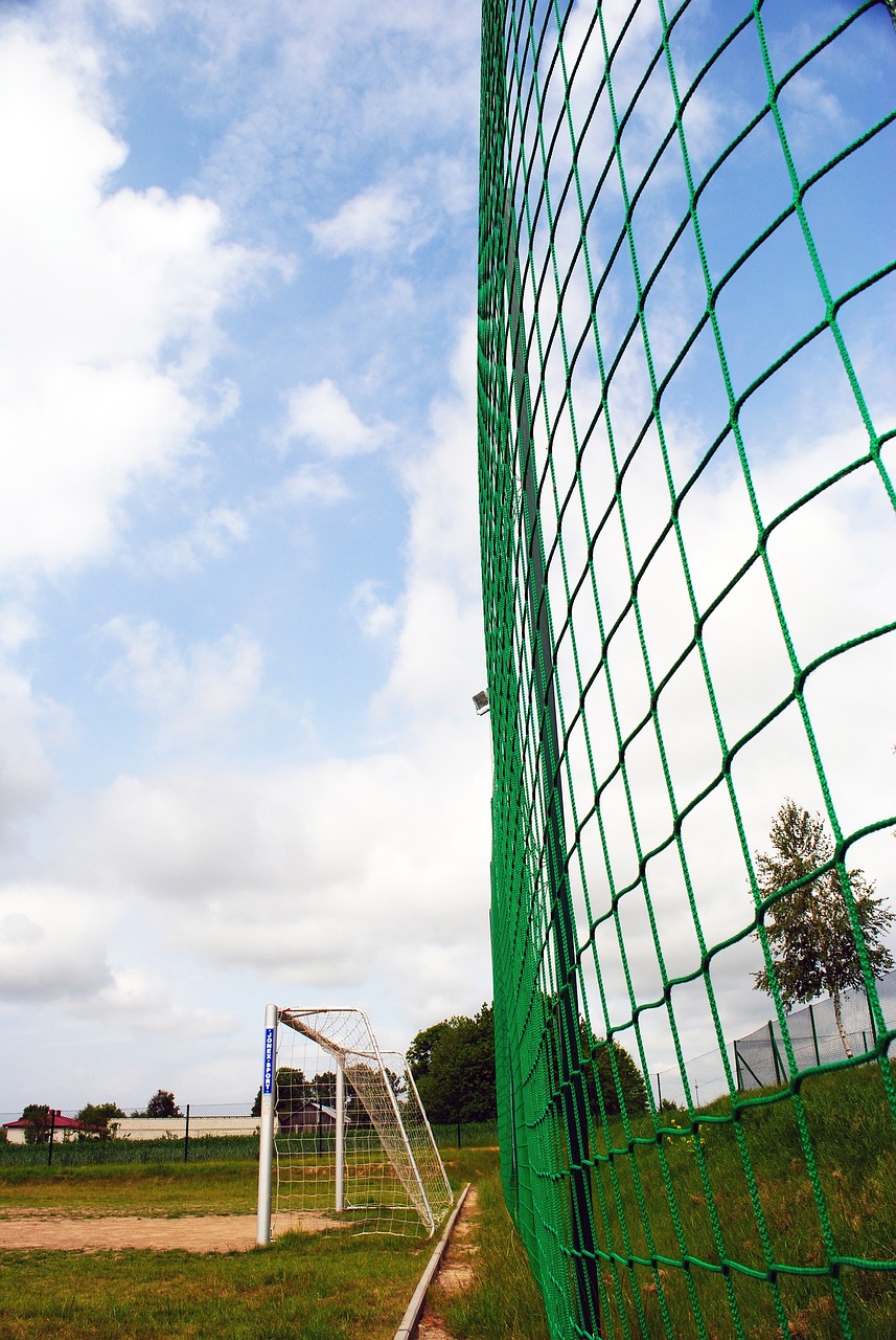 洲进行一次 洲进行一次