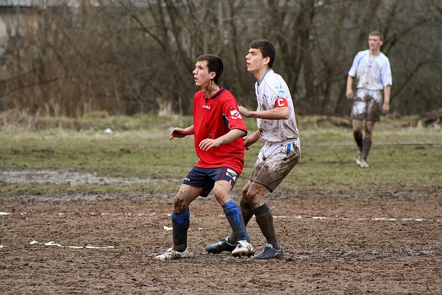 这在某种程 这在某种程