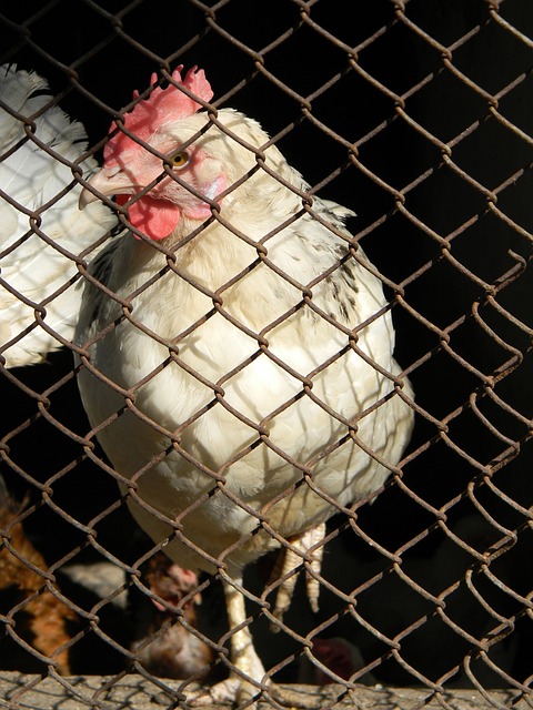 团队必须在 团队必须在