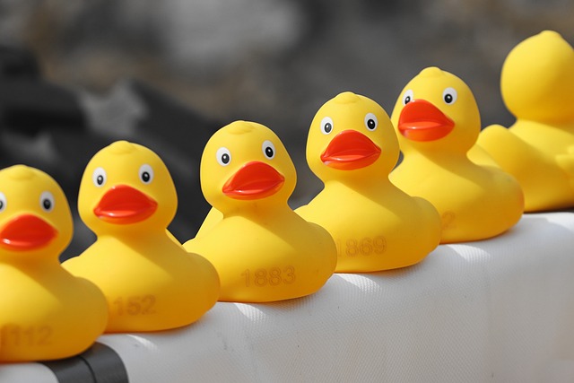 要在接下来