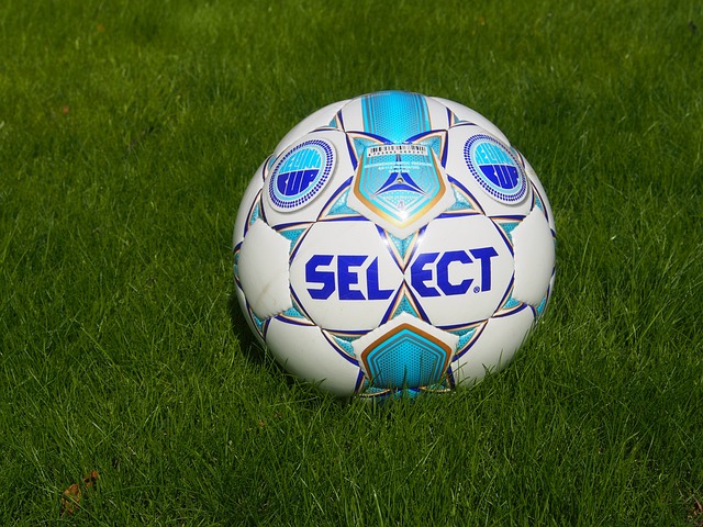 上届亚军的 上届亚军的